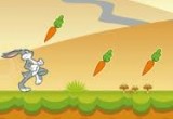 لعبة سباق الجرى بين الأرانب 2017