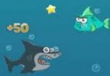لعبة القرش المجنون 2017